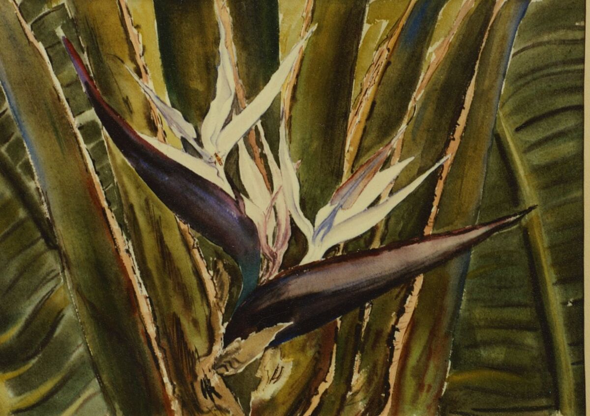 Watercolor_Hawaii Birds of Paradise.jpg