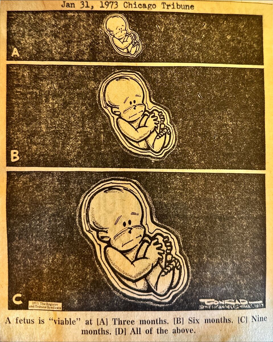 Fetus Viability 31 January 1973.jpg