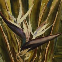 Watercolor_Hawaii Birds of Paradise.jpg